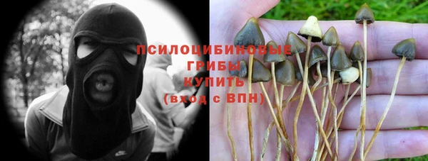 мяу мяу мука Беломорск