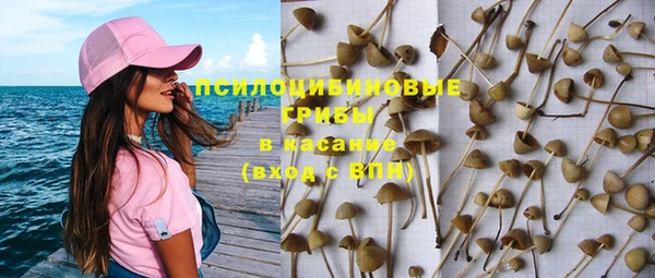 мяу мяу мука Беломорск
